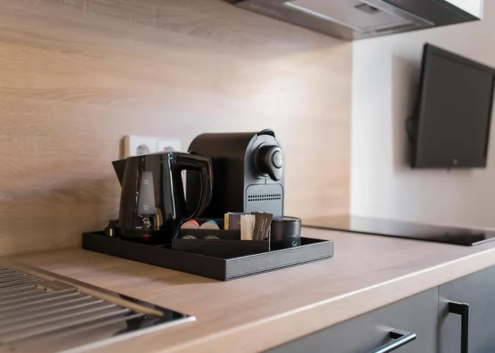 Homaris Boxi Studios Berlin